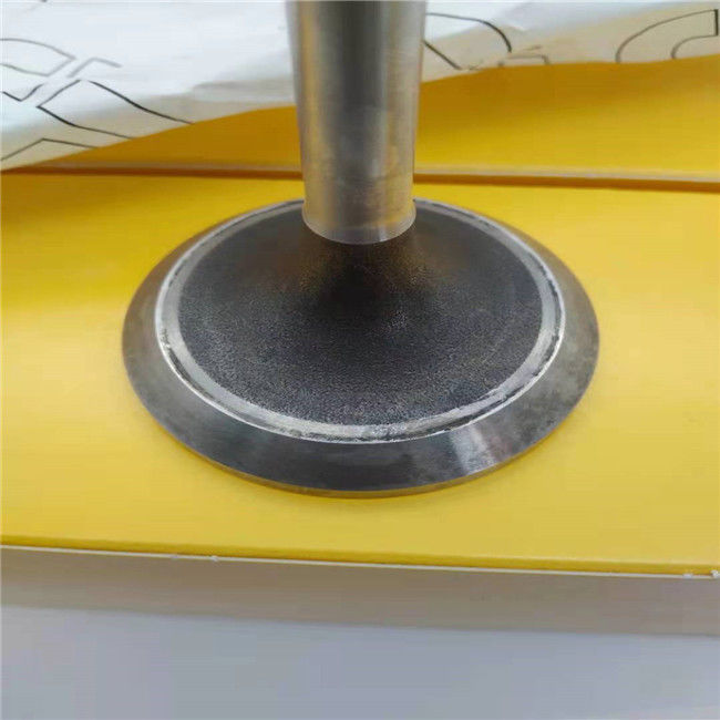 Katzenbagger 210-2529 Motor-Einlassventil und Auslassventil 0,5 kg
